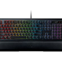 razer ornata